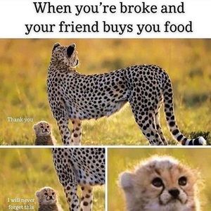 Meet your Posher, Judith